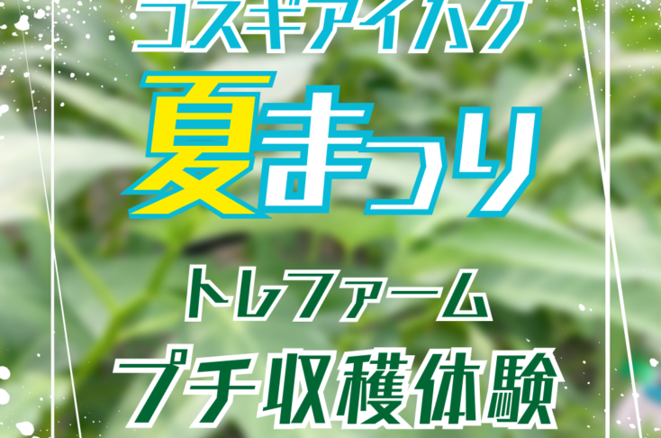 コスギアイハグ　夏まつり　トレファーム野菜収穫祭開催！！